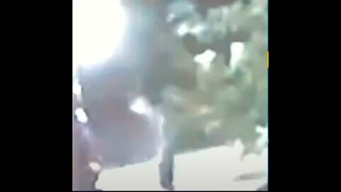 CHRIS WATTS CASE - WHAT'S REAL? (A,AMDA THAYER - SHANANN'S TEXT)