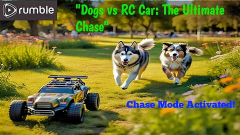 "RC CAR CHASE: Dogs Go WILD!" Watch what's happen after.....