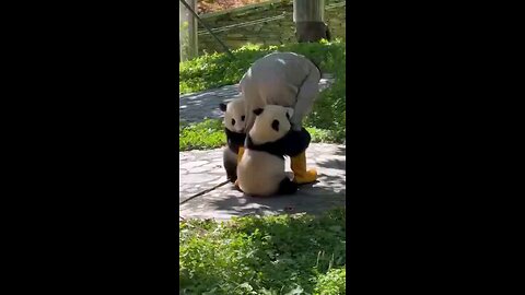 when you can't leave your friends behind