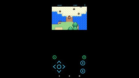 Pokémon Unbound part 2 | The first gym