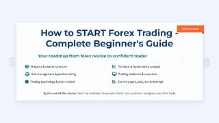 Forex Trading Explained Clearly & Easily: From Newbie to Advanced