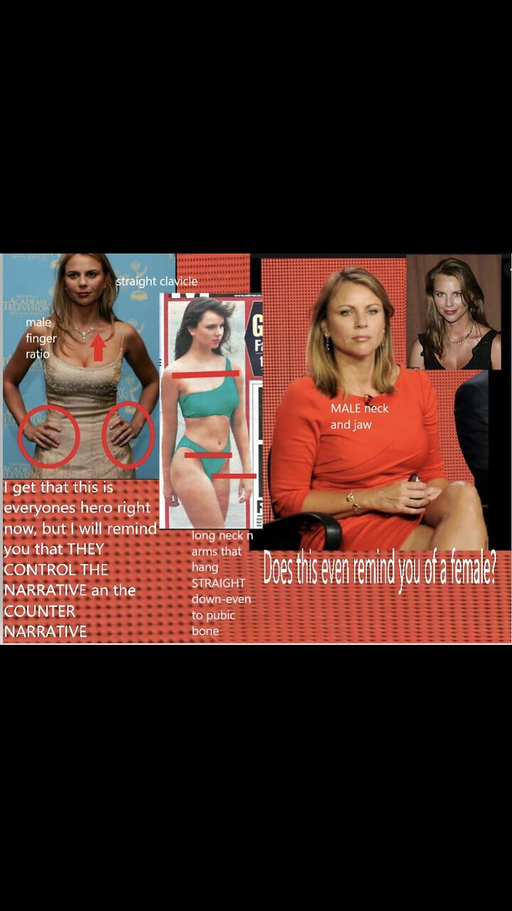 IT’S ALL OF THEM ( PART 5 )