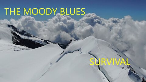 THE MOODY BLUES - SURVIVAL - OCTAVE 1978 VOICE OF JOHN LODGE