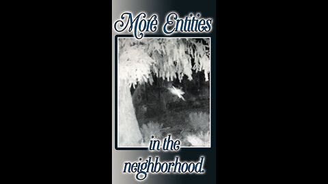 More entities in the neighborhood