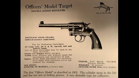 colt officers model flat top target 38