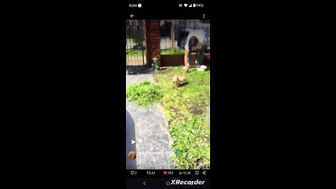 Puppy helping his Human