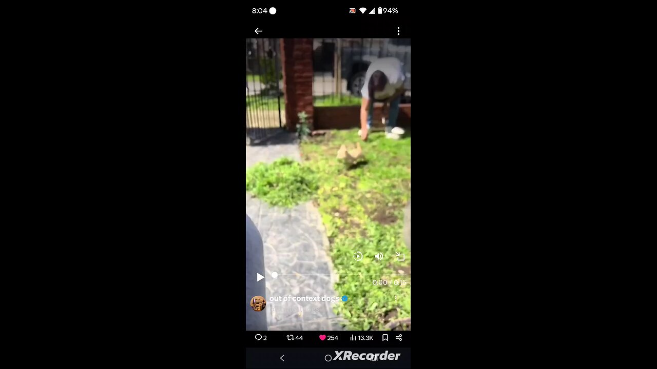 Puppy helping his Human