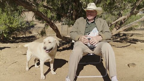 Globalists want to take your pets away and kill all street dogs and feral cats! [Ep 74]