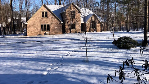 February 7, 2021 - A Beautiful Sunday Morning