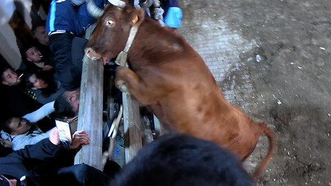2025 11 23 NAVAJAS SUPERCAMPEÓN ARENA
