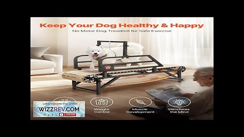 Dog Treadmill for Medium Dogs up to 220 lbs Indoor Pet Running Review