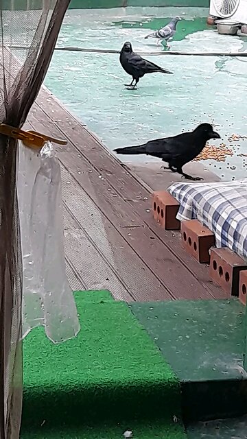 20251219. God made the world.