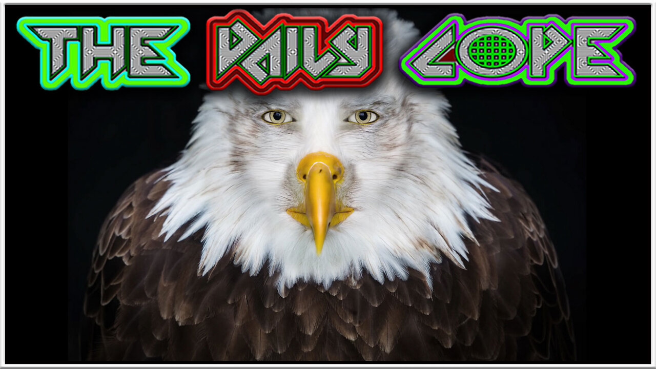 Wiggers Have Gone Insane