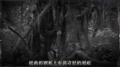 中国东海沉船事件：其实是一场与九菊一派的邪恶斗争