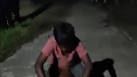 Funny videos 🤣 of dogs 🐕