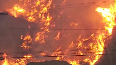 Hillside Panorama of Palisades Fire