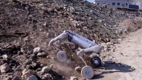 Unitree's Upgraded Robot: B2-W Talent Awakening