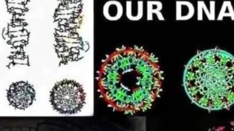 The Hidden Language of Cymatics