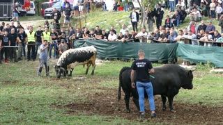 Zećo od koalicije Brnaze vs Pirgo od Zelenovića Šestanovac 2025