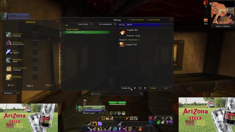 Lets play HardCore Turtle World of Warcraft!