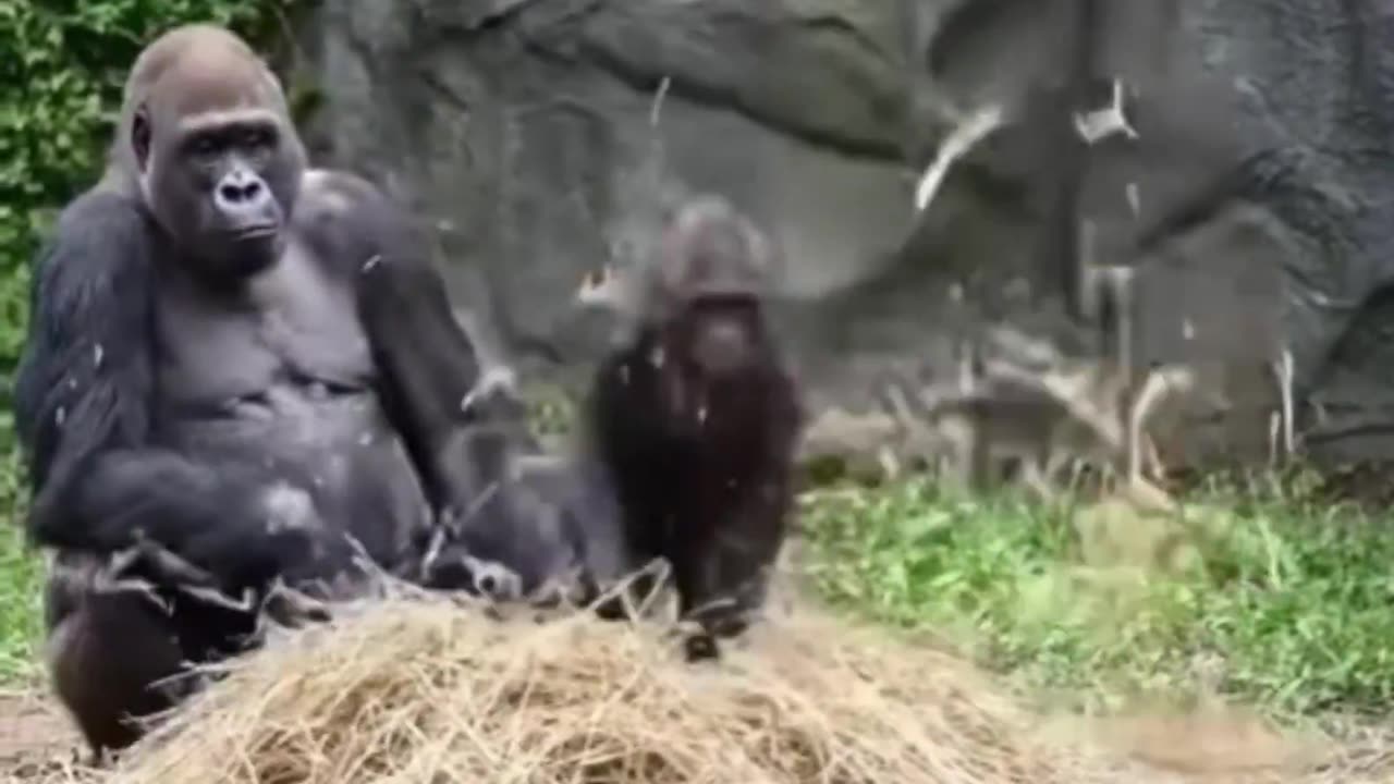 Parenting