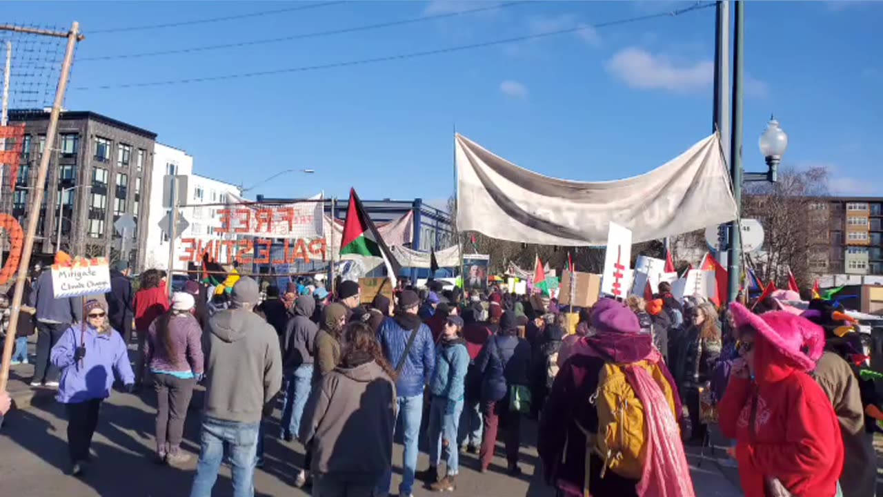 People's March & ANTIFA Damages Businesses, Olympia, WA 1/18/25