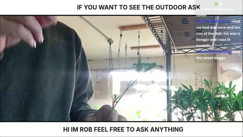Hanging out dabbing, and talk smack