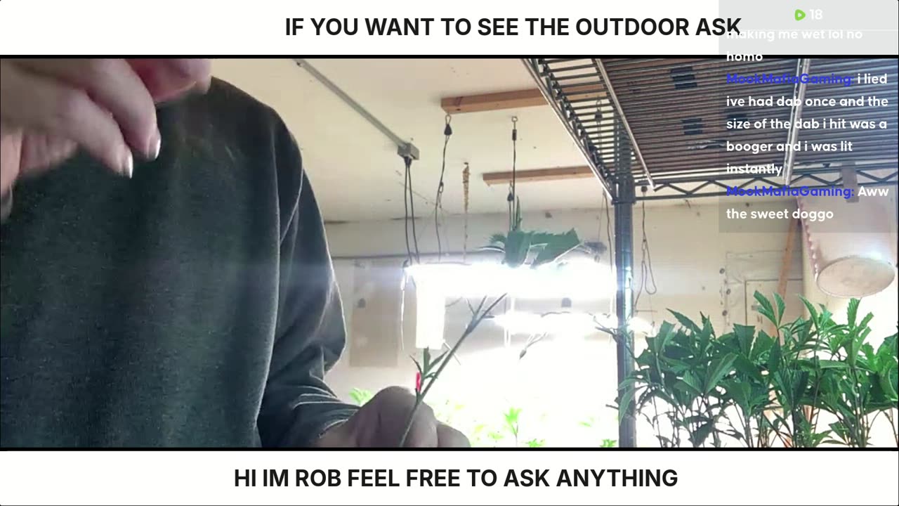 Hanging out dabbing, and talk smack