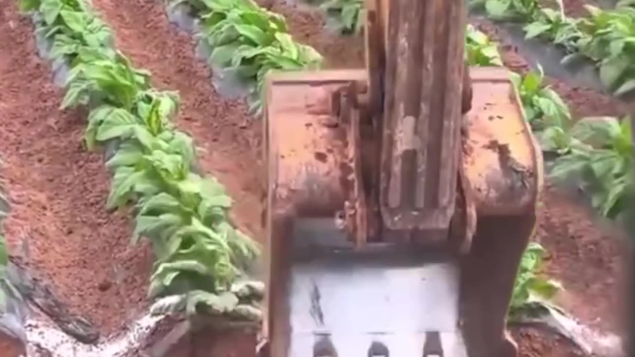 You can find an excavator in a farming field too!