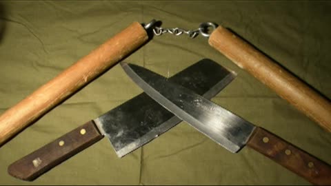 Analysis of ancient bones shows violent trauma was a major selector in early white European tribes.