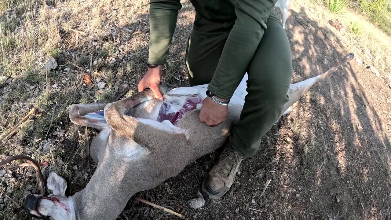BEST way to cape out a deer for a shoulder mount from a TAXIDERMIST! (How-to)