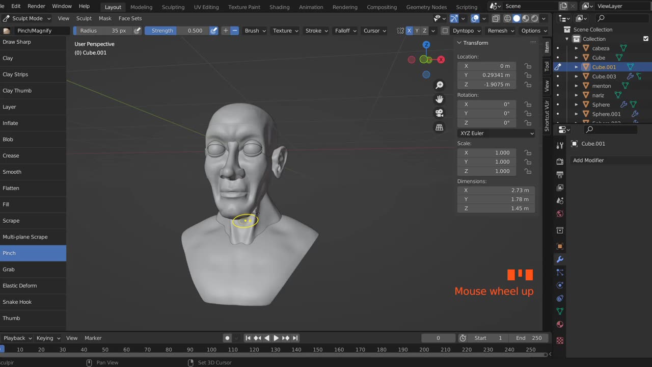 Esculpido de un rostro (sin audio)