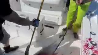 Shocking: A CRAZY Yellowfin Tuna Gaff Shot You've NEVER Seen Before!