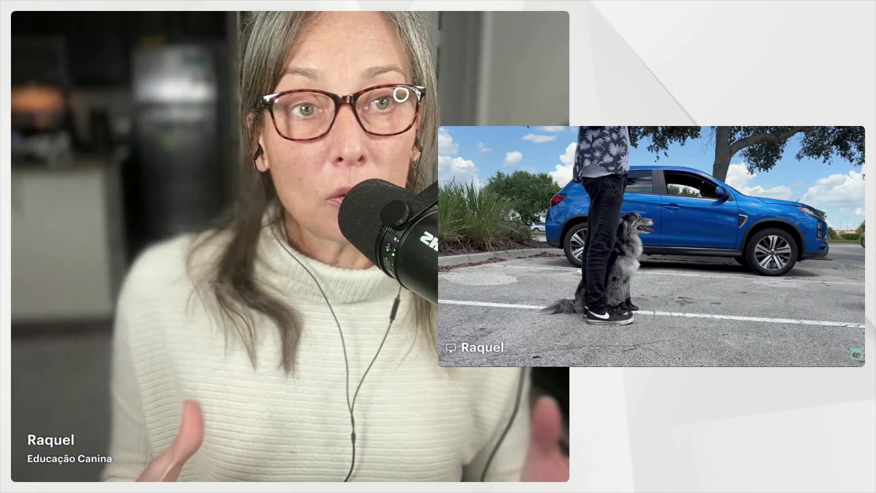 Como funciona o teste pra certificação de cães de assistência aqui nos EUA.