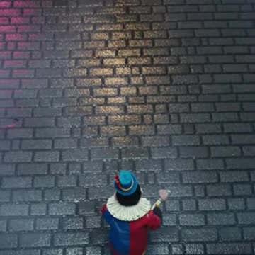 Chow the Clown Monkey Versus Justice