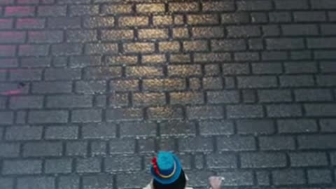 Chow the Clown Monkey Versus Justice