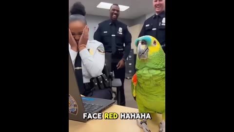 Parrot vs Police: The Loudest Cop in Every Room 🦜🚔#PapagoiEcho #cops #shorts #parrotcomedy