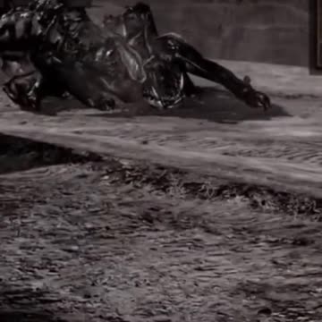 McDicken. Zombie Hunter? Ep. (4)? That's not Batman.