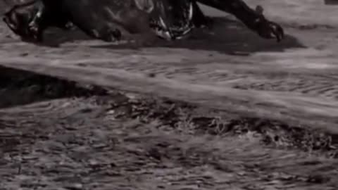 McDicken. Zombie Hunter? Ep. (4)? That's not Batman.