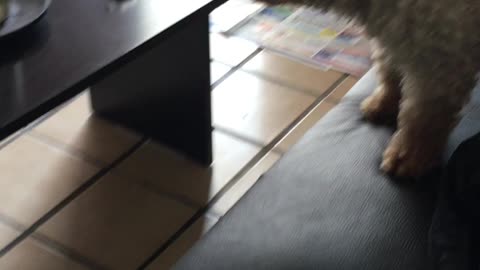 Exploring Santa Catarina 3 (Nuevo Leon, Mexico)