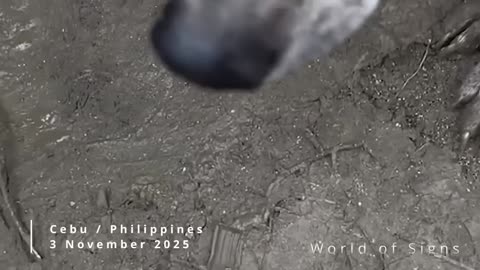 La Terre en proie au chaos : que se passe-t-il actuellement ? Novembre 2025, partie 5