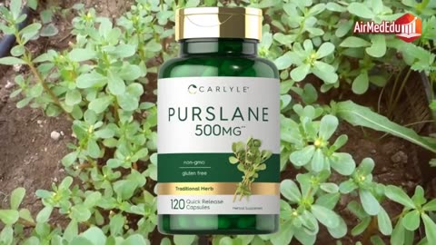 40 Benefits of Purslane Leaves