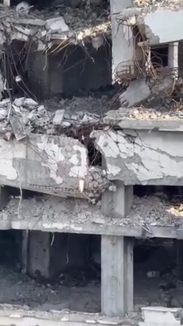 gaza 15 January 2026