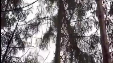 I wonder how this could be used for more than just the lumber industry?🤔