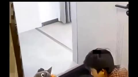 A heartwarming video
