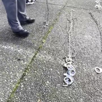 White House Trolls Illegal Aliens with Sights, Sounds of Deportation.