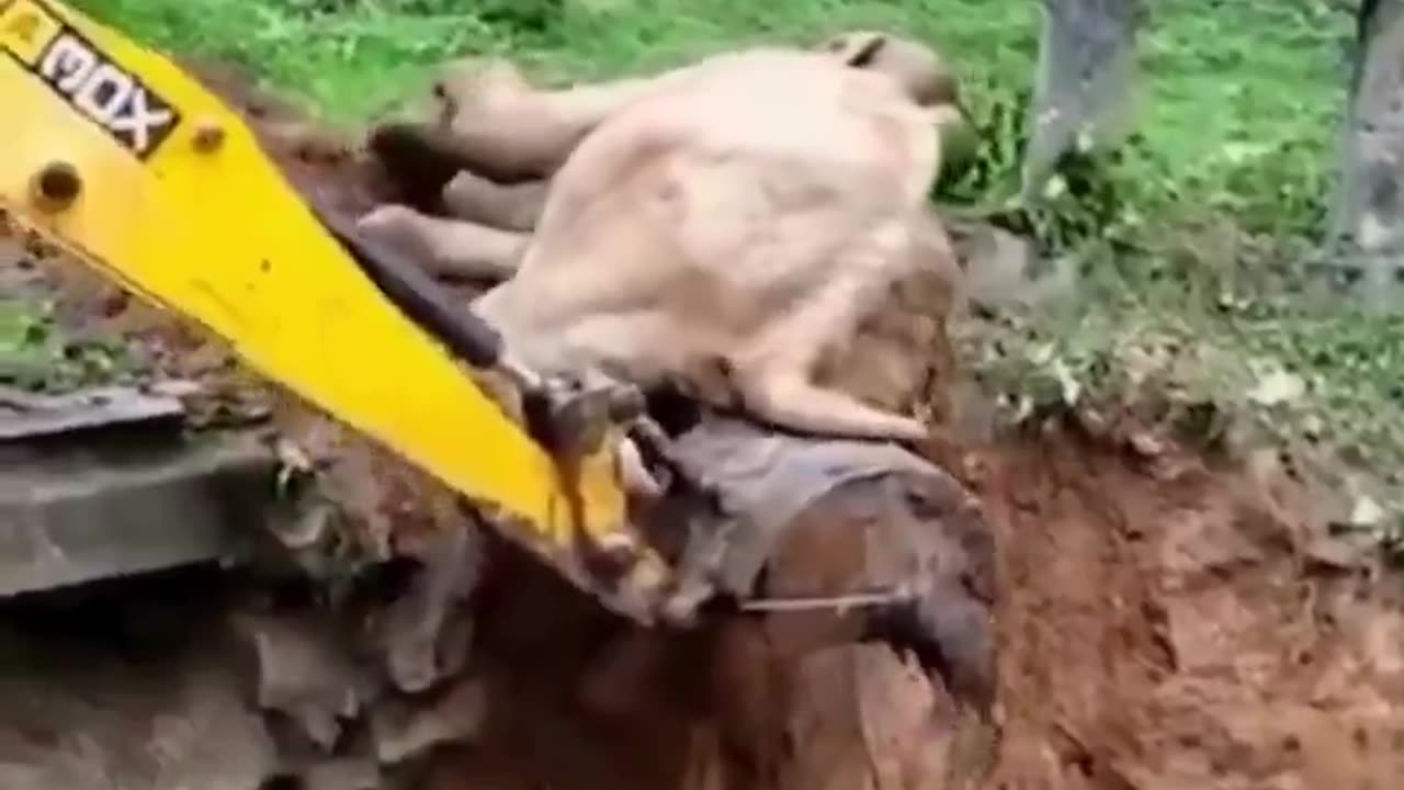 He came back to say thank you..