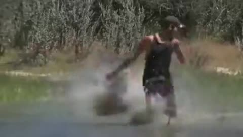 😹😂 When You're a Big Cat, but Your Energy's Elsewhere | FunFM