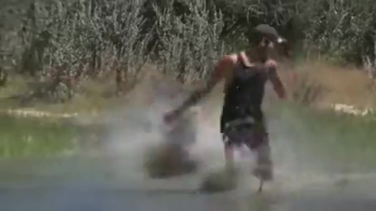 😹😂 When You're a Big Cat, but Your Energy's Elsewhere | FunFM