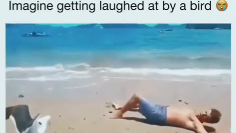 😂🐦 This Bird's Laugh is BETTER Than Human Skills! | FunFM